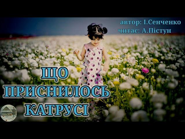 Аудіоказка українською мовою."Що приснилось Катрусі" #аудіоказка #аудіоказкиукраїнською #світказок