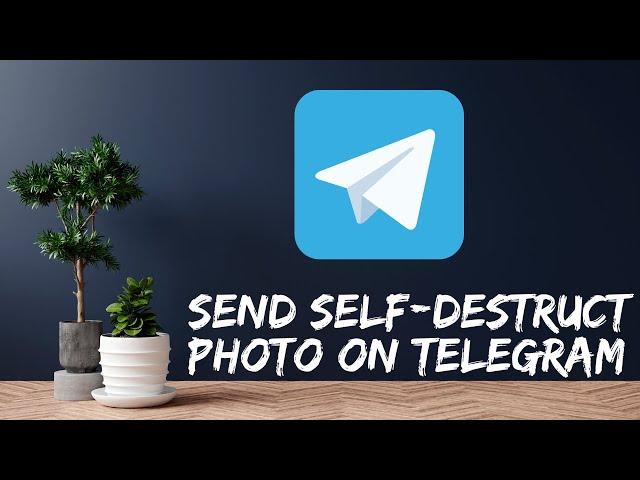 Telegram How to Send Self Destruct Photo