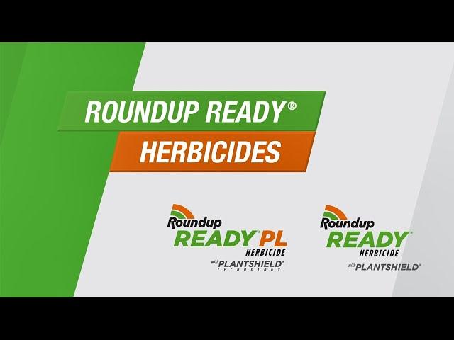 Roundup Ready® PL Herbicide | Over-the-Top Glysophate | 1:31