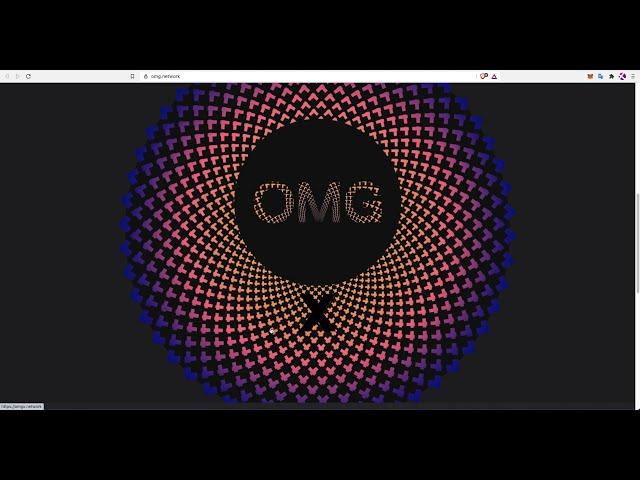 Обзор монеты OMG Network (OMG)