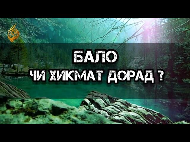 Бало ё мусибат чи хикмат дорад ? { шайх Абу Сухайб }