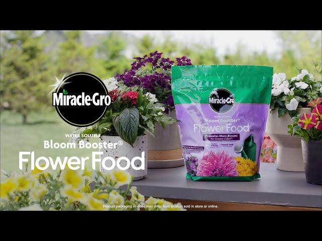 How To Use Miracle-Gro® Water Soluble Bloom Booster® Flower Food