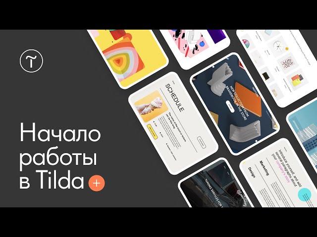 Создание сайта на Тильде — 03.10.2023