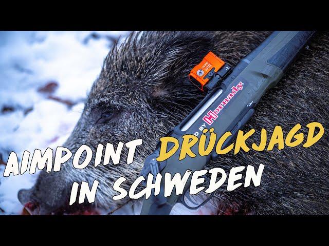 Drückjagd  in Schweden