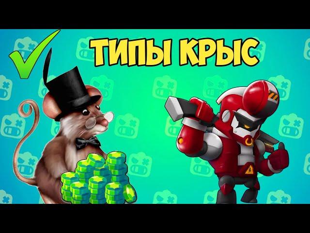 10 ТИПОВ КРЫС В BRAWL STARS