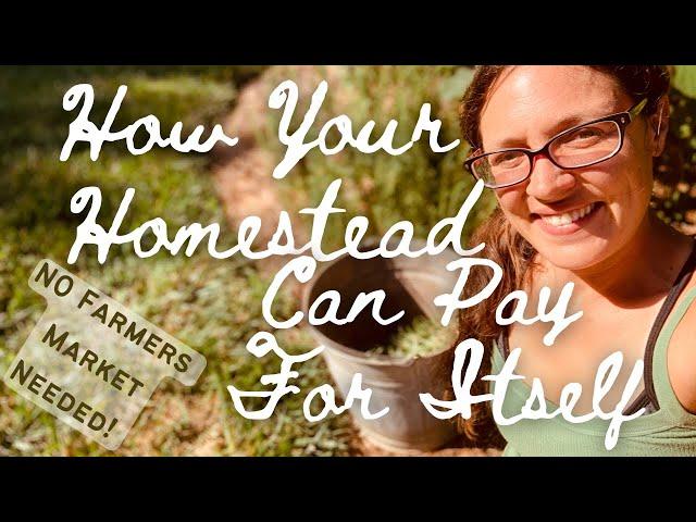 Making Money On A Homestead-How Your Homestead Can Help Pay For Itself