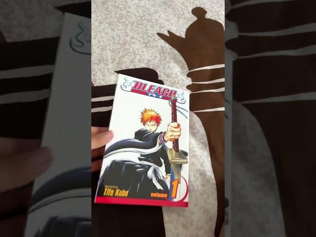 Bleach vol 1 manga My 2nd manga