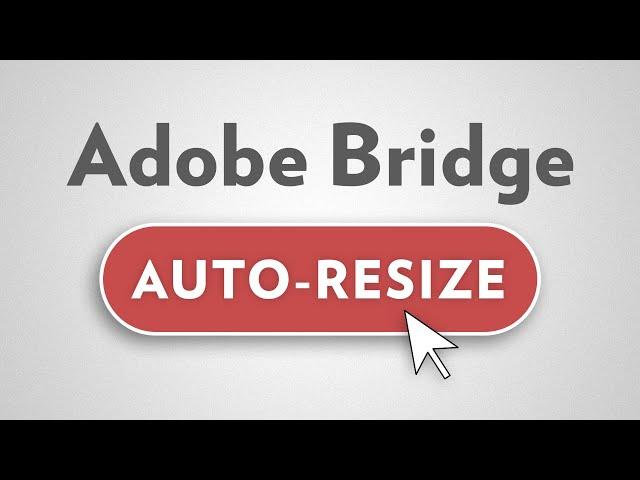 Automatically Resize Multiple Images | Adobe Bridge