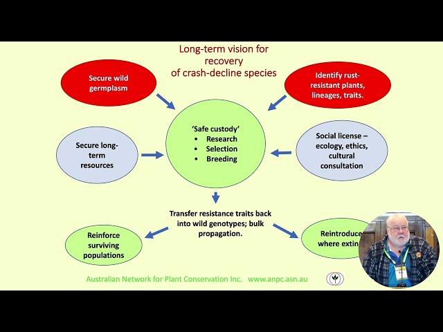 Bob Makinson and Geoff Pegg - Update on the status of myrtle rust in Australia