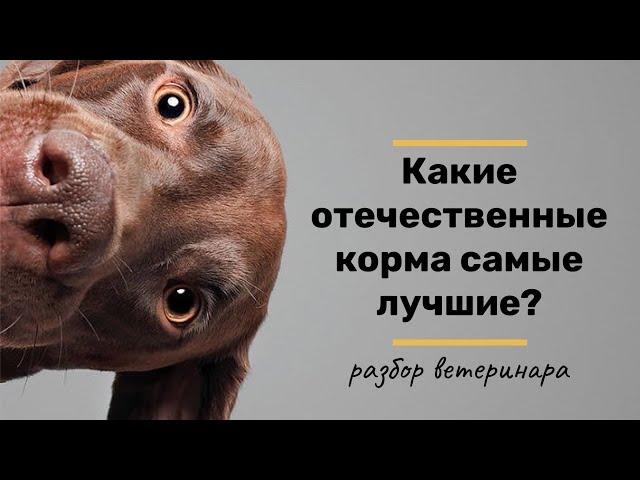 Какие отечественные корма для кошек и собак самые лучшие?