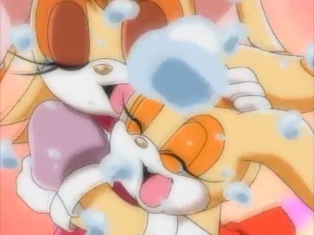 Sonic X Comparison: Cream Finally Reunited With Her Mother, Vanilla the Rabbit (Japanese VS English)