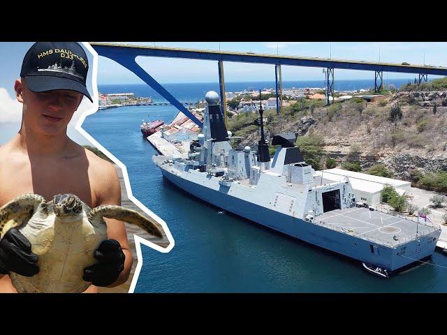 Sailors from HMS Dauntless assist with local conservation work while visiting Curaçao