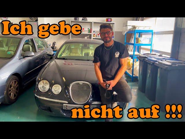 Er wurde eigentlich für TOT erklärt aber ich habe ihn gerettet ^^ Jaguar S-Type - Polo - Audi