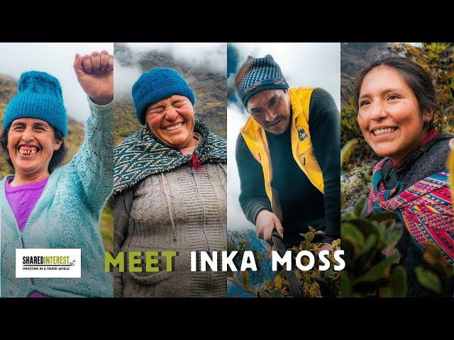 Meet Inka Moss: The Sphganum Moss Producers Harvesting Opportunities in the Andean Highlands