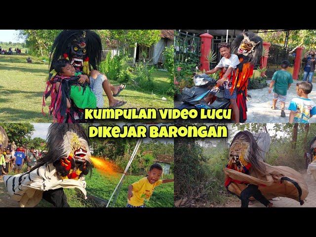 KUMPULAN VIDEO LUCU BIKIN NGAKAK BARONGAN MGAMUK NGEJAR ORANG !!