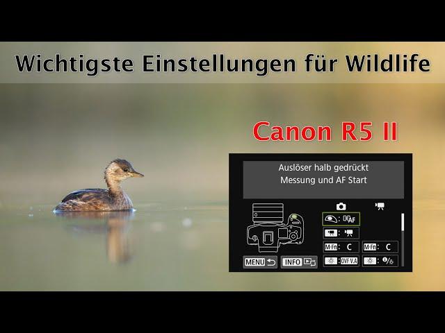 R5 II - Diese 5 Einstellungen würde ich ändern