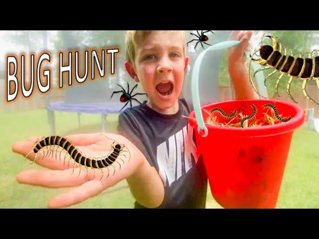 BUG HUNT for REAL BUGS!! Centipedes, SPIDERS, Earwig, TOAD, Hammerhead Worm and MORE FOR KIDS!!