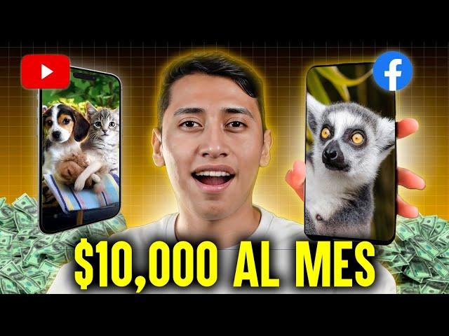 Gana $10,000 al mes REPOSTEANDO videos de animales en YouTube & Facebook 