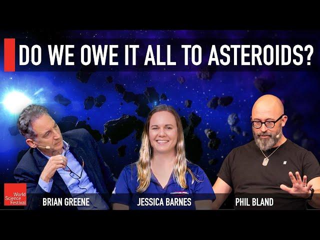 Do We Owe it All to Asteroids?