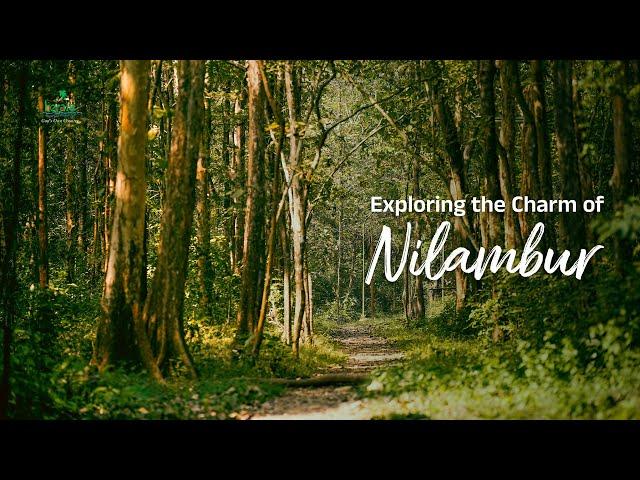 Let the Teaks Whisper the Tales of Nilambur