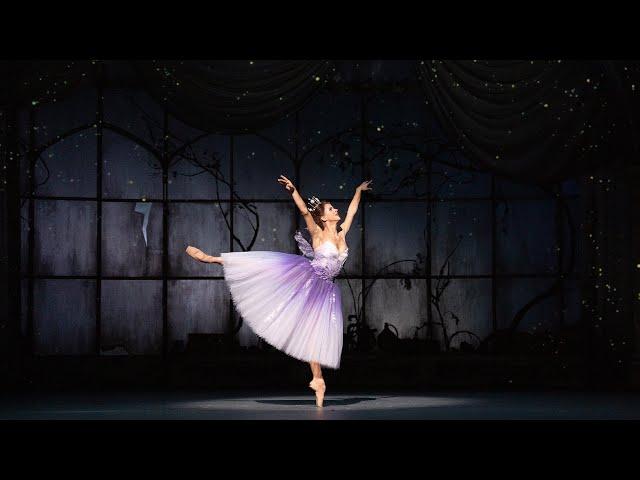 The Royal Ballet's Cinderella: Mayara Magri as The Fairy Godmother