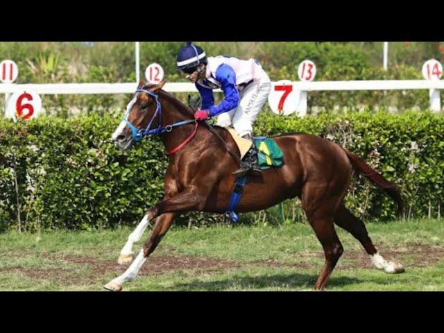 5th Race 1600 Mtr Spring Cup Winner Jim And Tonic Ridden By Jockey Amir Pervaiz Trained By AB Malik