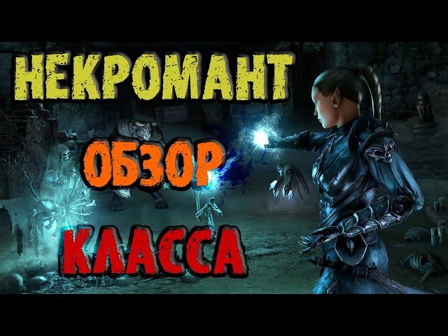 TESO: Некромант - Обзор Класса