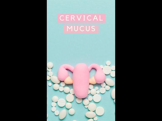 What your Cervical Mucus can tell you about being Fertile