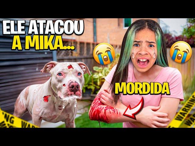 O PITBULL ALBINO CONHECEU A MIKAELLY e quase MORDEU  ELA!