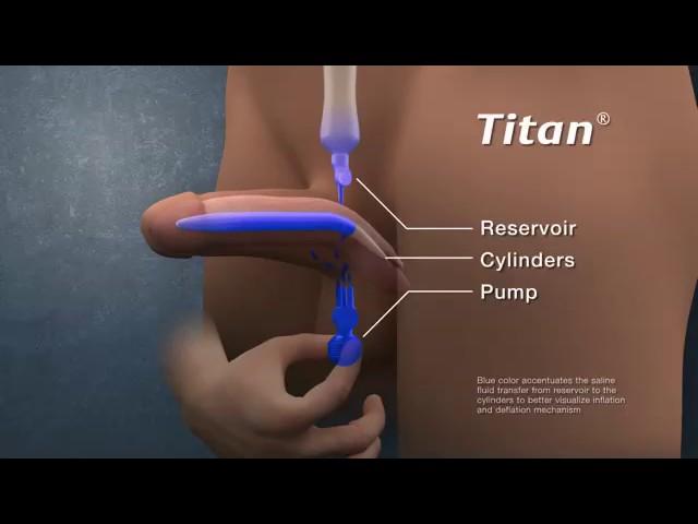 Titan Touch Animation 3D