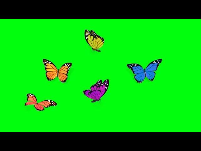 Colourful Butterflies Flying Animation Green Screen overlay Effects HD