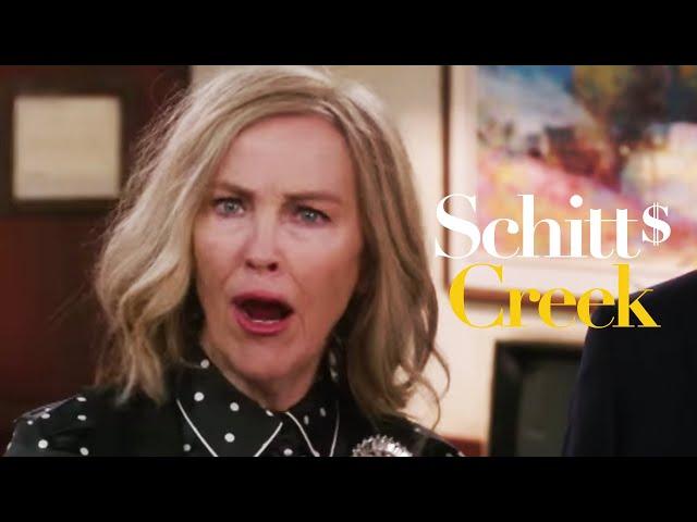 Schitt's Creek - Pink Carnations