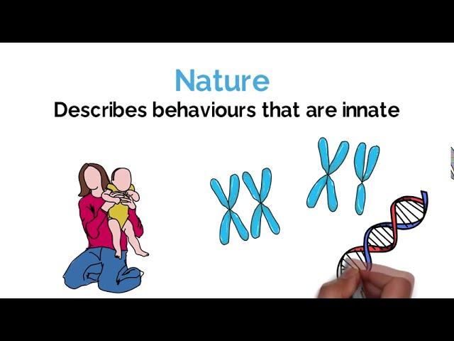 Nature vs Nurture (Psychology Debate Explained) #Alevel