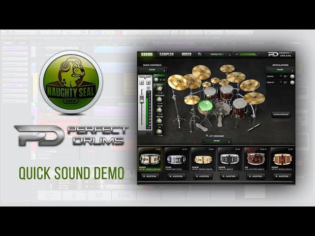 Naughty Seal Audio PERFECT DRUMS // Sound Demo & my preset | Develop Device