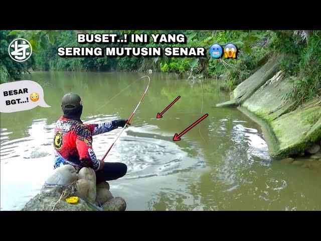 Mancing ikan nila besar bukaan spot baru