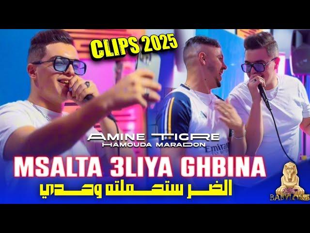 Cheb Amine Tigre 2024 Feat Hamouda Maradon [Msalta 3liya Ghbina-الضر ستحملته وحدي]© Clips Officiel