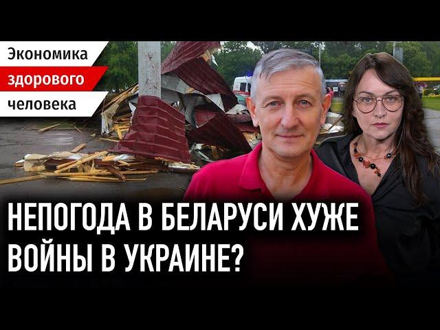 В Беларуси все посыпалось из-за непогоды / Лукашенко и Европа / Экономика Беларуси