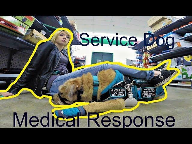 Service Dog Medical Response Off Leash