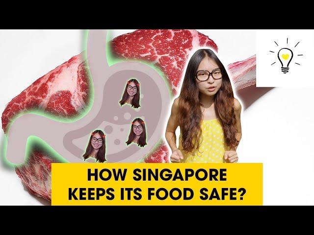 Keeping Your Food Safe