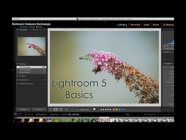 Adobe Lightroom 5: Workspace View Options