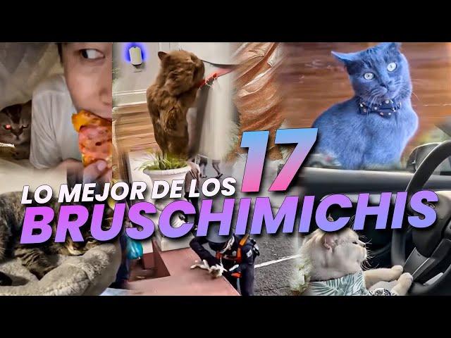 LO MEJOR DE LOS BRUSCHIMICHIS 17 - PABLO BRUSCHI