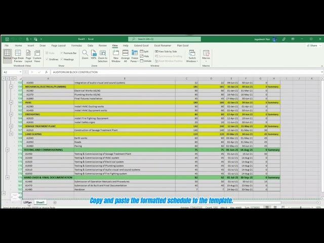 P6 Schedule in EXCEL !!!