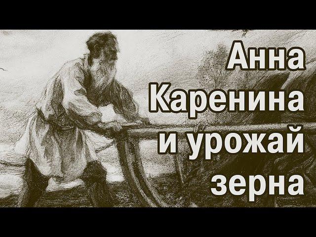 «Анна Каренина» – книга о вкусной и здоровой пище. Зерно