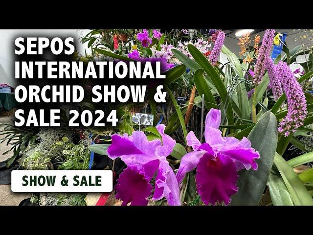 2024 SEPOS International Orchid Show & Sale | Experience the LARGEST Orchid Show in the Northeast!