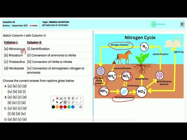 NEET Botany 2021:Expert Insights Detailed Overview of Nitrogen Metabolism in Plant Nutrition Q43