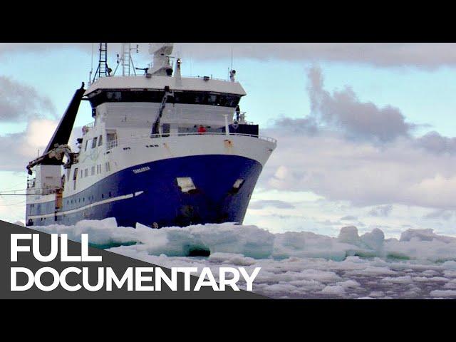 Expedition Antarctica | Free Documentary