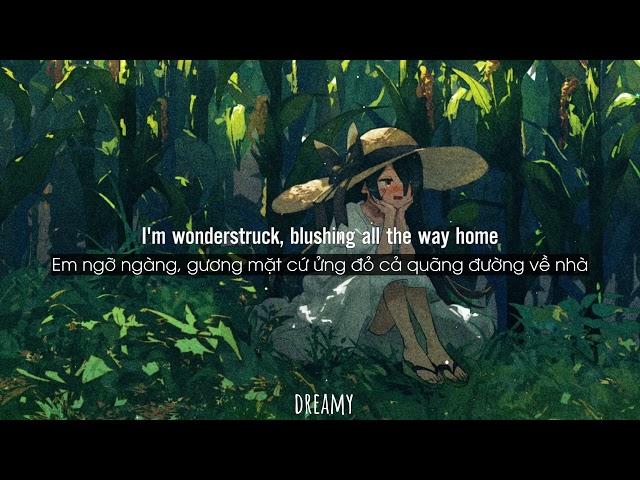 [Lyrics+Vietsub] Enchanted - Taylor Swift