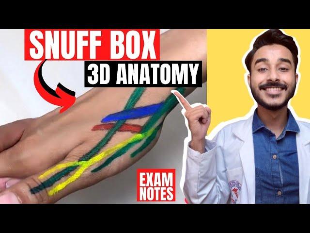 anatomical snuff box anatomy 3d | anatomy of snuff box contents | boundaries of snuff box anatomy