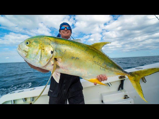 World's BIGGEST Trash Fish...Catch Clean Cook (Jack Crevalle)