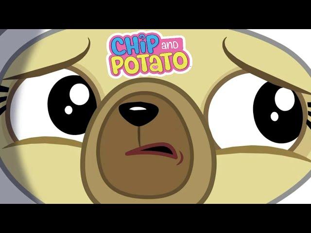 Chip e Batata | construir é melhor música | Desenhos animados para crianças | Assista mais no Netfli